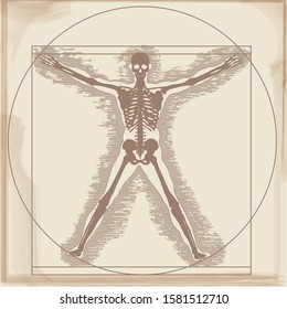 Medical, health, human body, skeleton image illustration. X-ray photo, illustration of a person drawn by Leonardo da Vinci. A beautiful figure, a Vitruvian character.