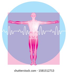 Medical, health, human body, skeleton image illustration. X-ray photo, illustration of a person drawn by Leonardo da Vinci. A beautiful figure, a Vitruvian character.