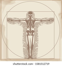 Medical, health, human body, skeleton image illustration. X-ray photo, illustration of a person drawn by Leonardo da Vinci. A beautiful figure, a Vitruvian character.