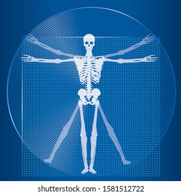 Medical, health, human body, skeleton image illustration. X-ray photo, illustration of a person drawn by Leonardo da Vinci. A beautiful figure, a Vitruvian character.