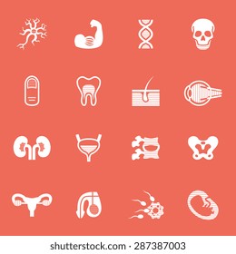 Medical and Health icon set.