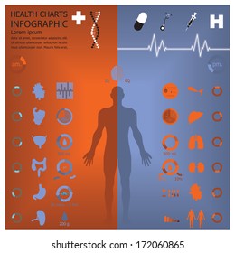 Medical And Health Infographic Infochart