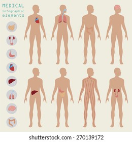 Medical and healthcare infographic, elements for creating infographics. Vector illustration