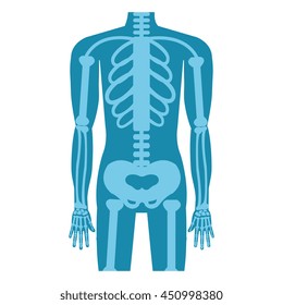 Medical healthcare xray exam isolated flat icon, vector illustration graphic design.