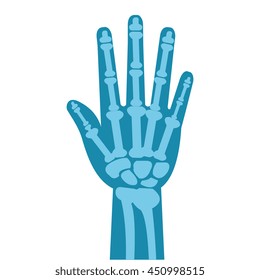 Medical healthcare xray exam isolated flat icon, vector illustration graphic design.