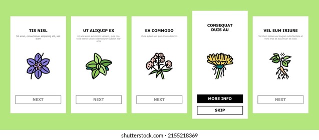 Medical Herb Natural Ingredient Onboarding Mobile App Page Screen Vector. Saffron And Chamomile Flower Bud, Ginseng Coriander Leaves, Oregano Thyme Branch Medical Herb. Anise Basil Plant Illustrations