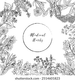 Medical herbs background. Vector illustration
