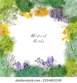 Fundo de ervas medicinais. Ilustração em aquarela vetorial