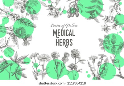 Medical herbs frame. Sketchy vector hand-drawn illustration with the green round forms on the background.	
