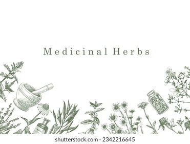 Medical Herbs. Hand-drawn illustration of herbs and objects. Ink. Vector