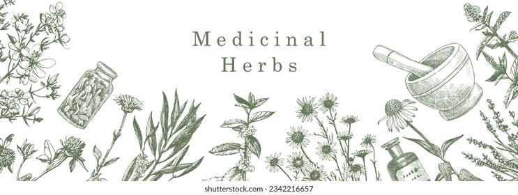 Medical Herbs. Hand-drawn illustration of herbs and objects. Ink. Vector