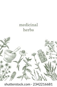 Medical Herbs. Hand-drawn illustration of herbs and objects. Ink. Vector