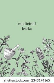 Medical Herbs. Hand-drawn illustration of herbs and objects. Ink. Vector