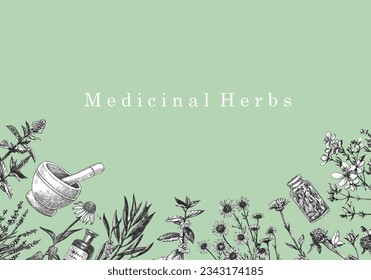 Medical Herbs. Hand-drawn illustration of herbs and objects. Ink. Vector