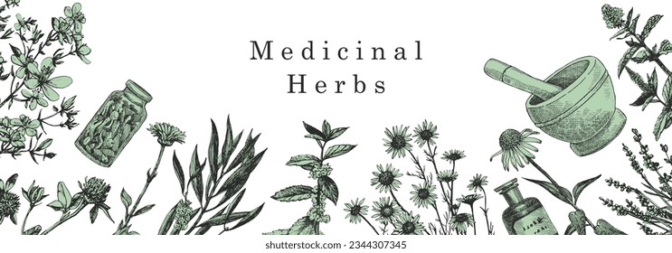 Medical Herbs. Hand-drawn illustration of herbs and objects. Ink. Vector