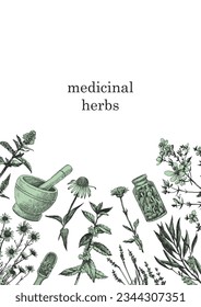 Medical Herbs. Hand-drawn illustration of herbs and objects. Ink. Vector