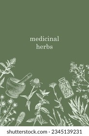 Medical Herbs. Hand-drawn illustration of herbs and objects. Ink. Vector