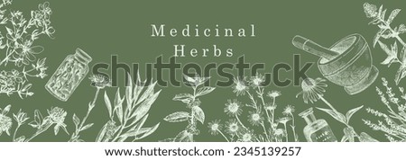 Medical Herbs. Hand-drawn illustration of herbs and objects. Ink. Vector