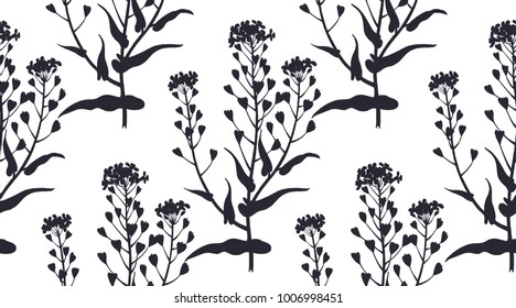 Medical herbs seamless pattern. Silhouettes of plant shepherd's purse. Vector illustration. Hand drawing. Black and white. Template for creating paper, textiles, wallpaper.