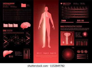 Medical hud interface infographics layout with ekg dna encephalography male reproductive information sections vector illustration