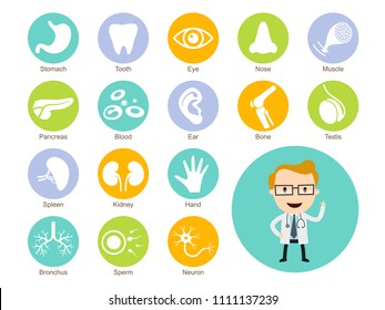 Medical And Human Body Organs Icon Set, Vector Illustration, Health And Medical, Medicine Cartoon