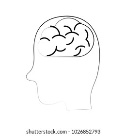 medical human brain