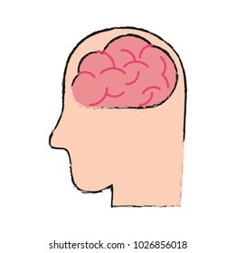medical human brain