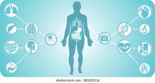 Medical human organs icon set with body