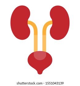 Medical Icon Kidney System Urinary Bladder Vector Illustration Graphics Design.