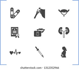 Medical icon set and medical license with kidneys, pregnancy and plaster. Knee related medical icon vector for web UI logo design.