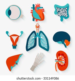 Medical icons of internal human organs realized in modern flat design with long shadow.