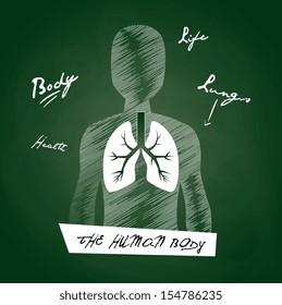 medical icons over chalkboard background vector illustration  