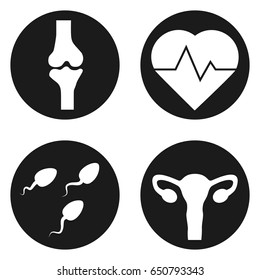 Medical icons set in circle button. Joint, heart, sperm, uterus. Vector illustration