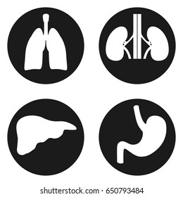 Medical icons set in circle button. Human organs: lungs, kidneys, liver and stomach. Vector illustration