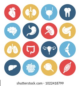 Medical icons set for mobile and web applications, human organs, colorful v9