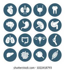 Medical icons set v6