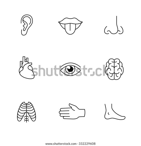 医療アイコンの細い線画セット 人の器官 感覚 体の部分 白い背景に黒いベクター画像シンボル のベクター画像素材 ロイヤリティフリー