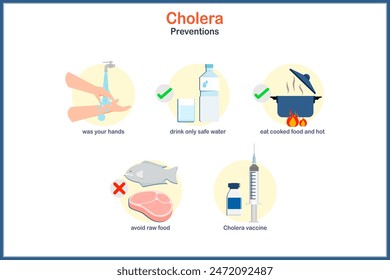 Medical illustration concept in flat style of cholera, cholera prevention.Eat cooked food, avoid raw meat, raw seafood. Drink clean water Wash your hands often with soap and water and cholera vaccine.