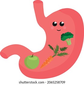 Medical illustration of a contented stomach of a person who eats well. Fruits and vegetables.