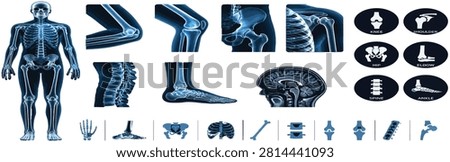 Medical illustration of human skeleton and various joint X-ray scans including knee, shoulder, hip, elbow, spine, skull, and ankle. Futuristic blue neon vector elements for healthcare, anatomy education,  clinics, and diagnostic 