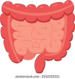 Medical illustration representing human intestines, highlighting colon and appendix, useful for educational and healthcare related projects