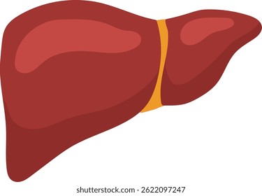 Medical illustration representing human liver promoting awareness of liver health and disease prevention through regular checkups and healthy lifestyle choices