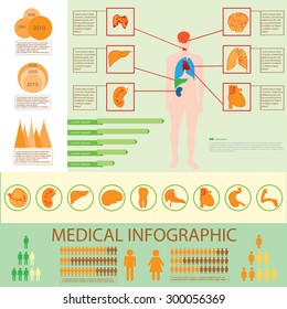 Medical info graphics. Human body with internal organs