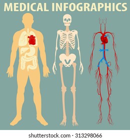 Medical Infographic Of Human Body Illustration