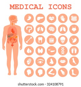 Medical Infographic Icons, Human Organs, Body Anatomy