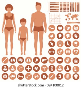 medical infographic icons, human organs, body anatomy