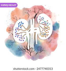 Medical infographic of kidney background. Abstract background style watercolor. Medical care for the hospital, page.Blue and white. Vector illustration