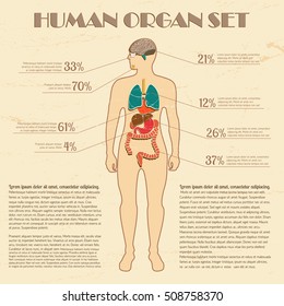 Medical infographic set with human silhouette and internal organs vector Illustration