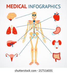 Medical infographic set of human skeleton and internal organs vector illustration