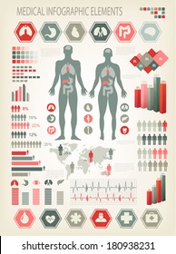 Medical infographics elements. Human body with internal organs. Vector.